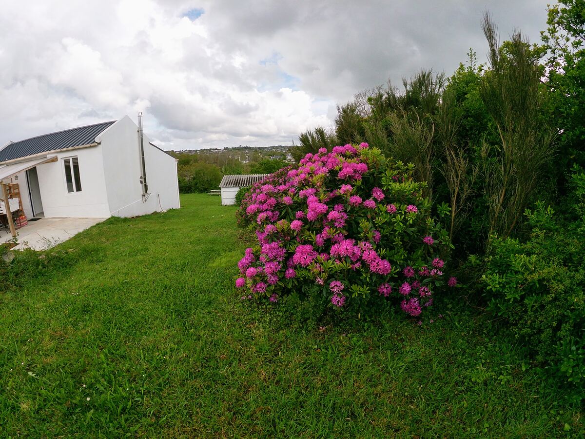 La maisonnette et son jardin arboré